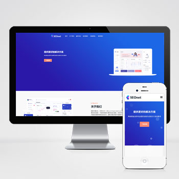 SEO优化网络公司网站模板下载